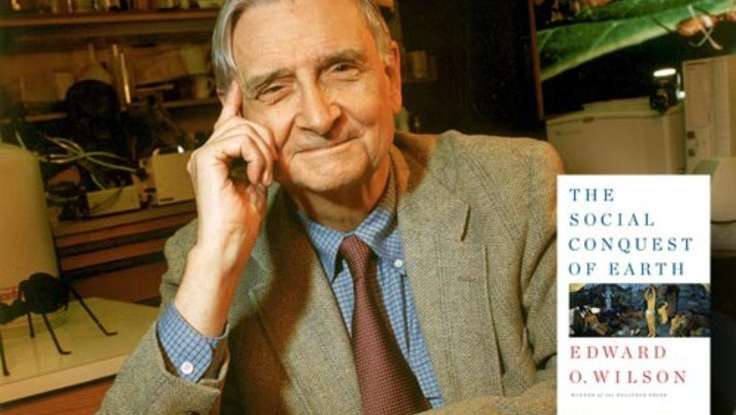 In a Massive New Book, E.O. Wilson Says Groups Drive Human Evolution